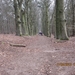 WS Maarn,17 maart 2012 044