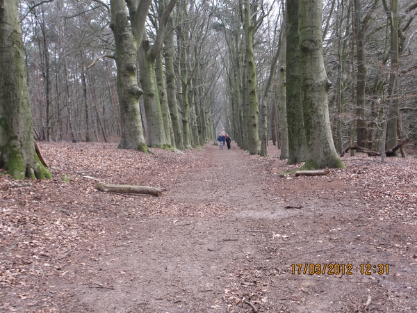 WS Maarn,17 maart 2012 044