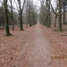 WS Maarn,17 maart 2012 055