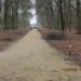 WS Maarn,17 maart 2012 066