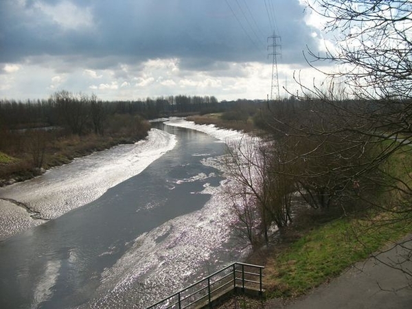 067-Oude Scheldemeanders