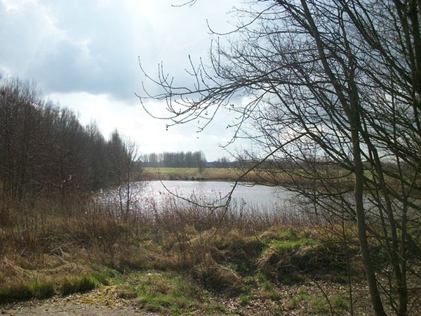 085-Moerasgebied met wemelde waterwild