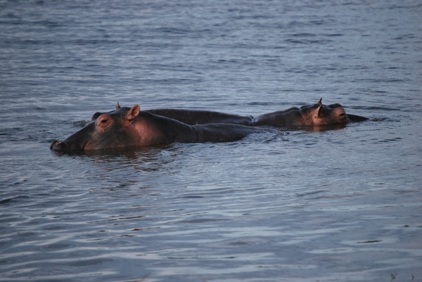 D3Entebbe_Murchison Falls (14)