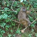 D3Entebbe_Murchison Falls (6)