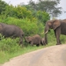 D4 Murchison Falls (34)