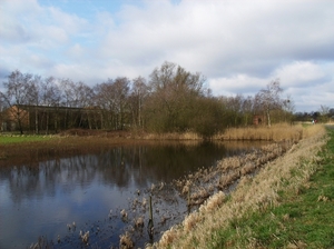 Gentbrugge Maart 2012 008