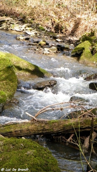 marche Adeps wandeling Houyet Ardennen