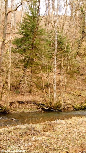 marche Adeps wandeling Houyet Ardennen