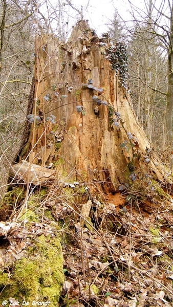 marche Adeps wandeling Houyet Ardennen