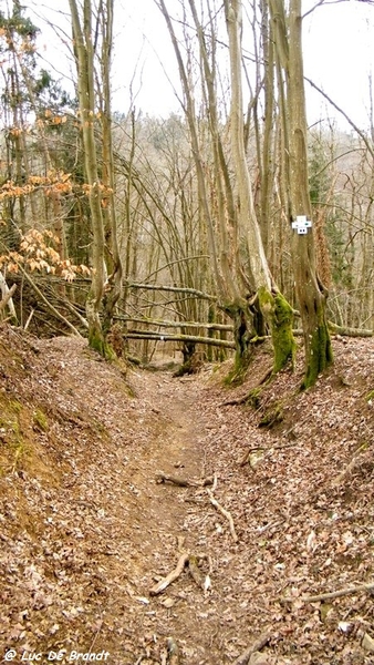 marche Adeps wandeling Houyet Ardennen