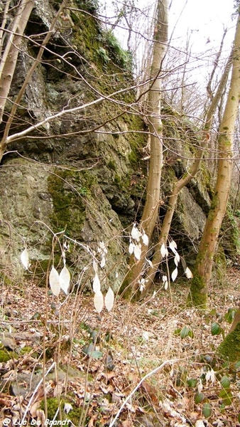 marche Adeps wandeling Houyet Ardennen