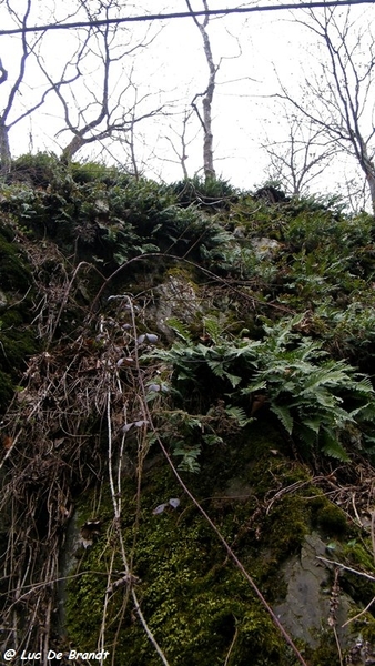 marche Adeps wandeling Houyet Ardennen