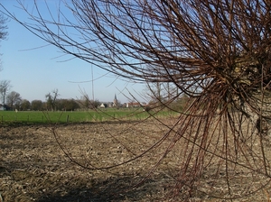 Gavere Maart 2012 008