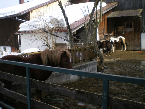 Wintervakantie mailgroep reizen