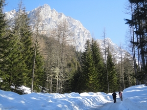 DSC01425