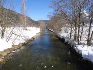 DSC01465