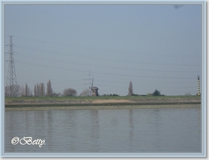 sized_IMG_5968