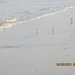 Zandvoort, 21maart 2012, 30 km. wandeltocht 017