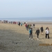 Zandvoort, 21maart 2012, 30 km. wandeltocht 019