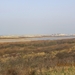 Zandvoort, 21maart 2012, 30 km. wandeltocht 028