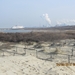 Zandvoort, 21maart 2012, 30 km. wandeltocht 026