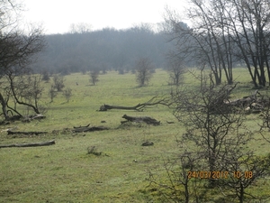 Zandvoort, 21maart 2012, 30 km. wandeltocht 038