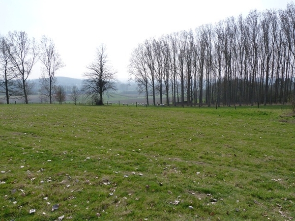 091-Natuurgebied-St-Maria-Oudenhove