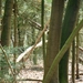 ARDOOIE 24-3-2012 071