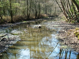 ARDOOIE VELD 27-3-2012 011