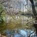 ARDOOIE VELD 27-3-2012 025