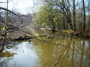 ARDOOIE VELD 27-3-2012 048