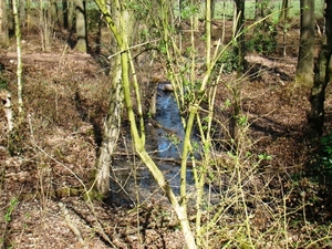 ARDOOIE VELD 27-3-2012 104