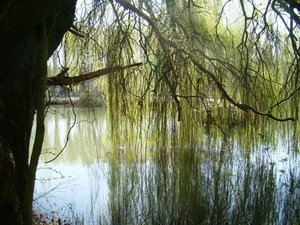 ARDOOIE VELD 27-3-2012 106