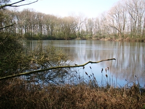 ARDOOIE VELD 27-3-2012 122