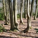 ARDOOIE VELD 27-3-2012 156