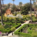 Real Alc�zar 5