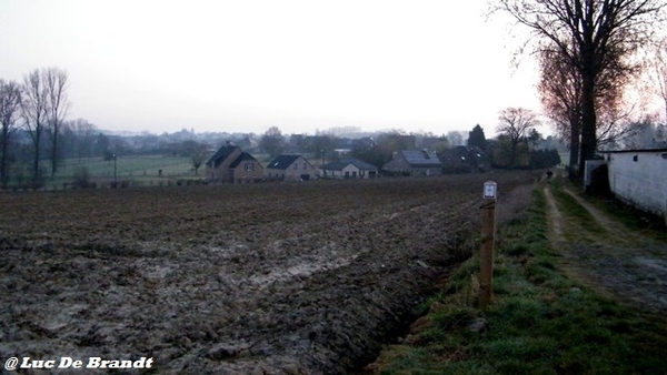 wandeling Aktivia Heidetochten Gooik