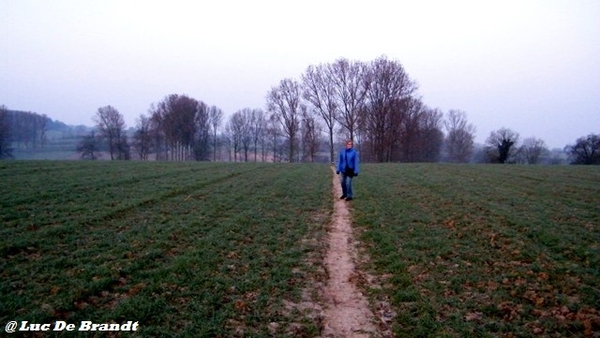 wandeling Aktivia Heidetochten Gooik