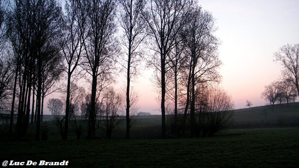 wandeling Aktivia Heidetochten Gooik