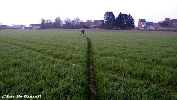 wandeling Aktivia Heidetochten Gooik