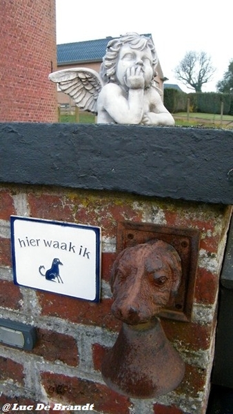 wandeling Aktivia Heidetochten Gooik