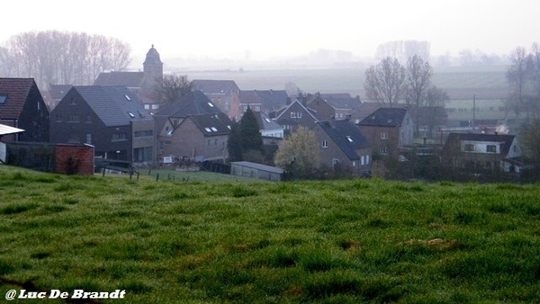 wandeling Aktivia Heidetochten Gooik