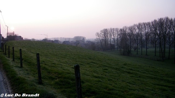 wandeling Aktivia Heidetochten Gooik