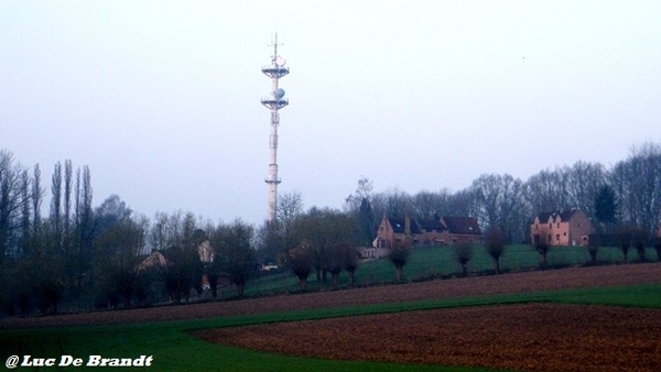 wandeling Aktivia Heidetochten Gooik