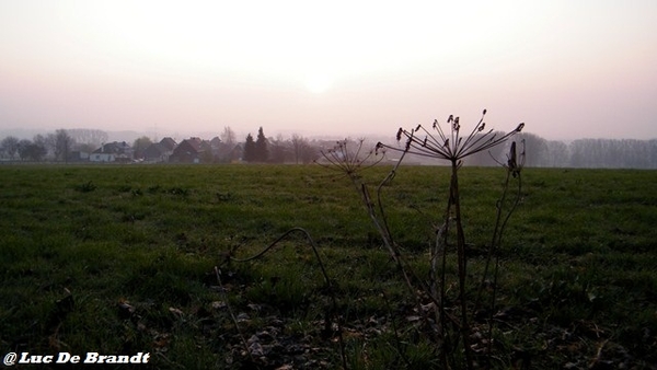 wandeling Aktivia Heidetochten Gooik