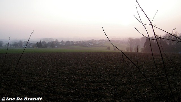 wandeling Aktivia Heidetochten Gooik