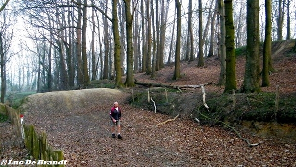 wandeling Aktivia Heidetochten Gooik