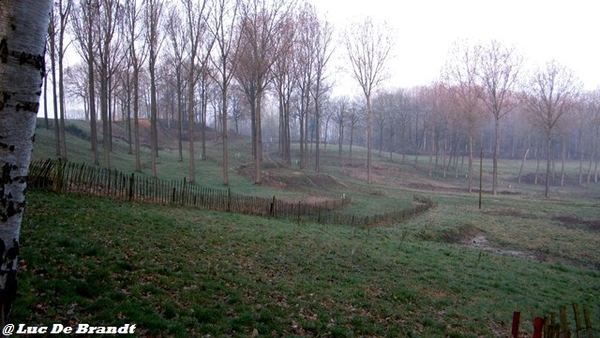 wandeling Aktivia Heidetochten Gooik