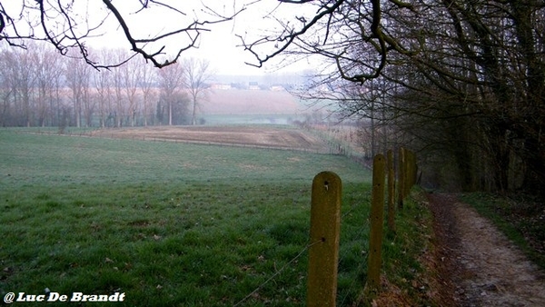 wandeling Aktivia Heidetochten Gooik