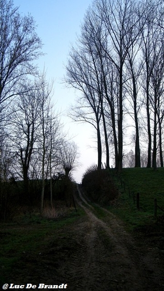 wandeling Aktivia Heidetochten Gooik